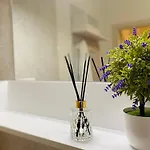 In Mit Kostenloser Privatgarage By Interhome 公寓 *
