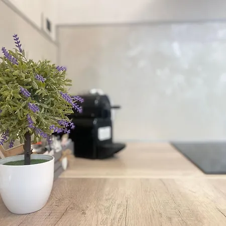 In Mit Kostenloser Privatgarage By Interhome